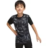 Vaikiški marškinėliai Puma Team Ultimate Jersey, juodi, 706282 03