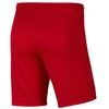 Vaikiški „Nike Park III Knit Jr BV6865-657“ šortai