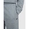 Vaikiškos laisvalaikio kelnės 4F, pilkos