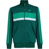 Vaikiškos sportinės kelnės adidas Seasonal Essentials Tiberio, žalios