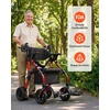 VEVOR 2-in-1 vaikštynė ir kėdutė vyresnio amžiaus žmonėms