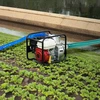 VEVOR Vandens siurblio žarnų rinkinys 2 in x 6.1 m ir 19.81 m