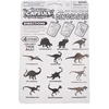 Vandenyje Augančios Kapsulės "DINOSAURS"