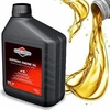 VARIKLIO ALYVA BRIGGS &amp; STRATTON SAE 30 1,4 L – 100006E Originali prekė