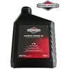 VARIKLIO ALYVA BRIGGS &amp; STRATTON SAE 30 1,4 L – 100006E Originali prekė