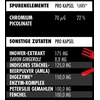 Virškinimo fermentų kapsulės Big Zone Enzyme+ 90 kapsulių