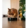 Delcon Visavertis begrūdis pašaras suaugusioms katėms su vištiena / 1,75 kg