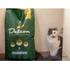Delcon Visavertis begrūdis pašaras suaugusioms katėms su žuvimi / 8,75 kg