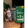 Delcon Visavertis pašaras mažiems kačiukams ir besilaukiančioms katėms KITTEN, 1.75 kg