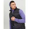 Vyriška pašiltinta liemenė su stačia apykakle Jack & Jones Jjetoby