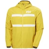 Vyriška vėjo striukė Helly Hansen Salt Stripe