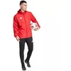 Vyriškas "adidas" Entrada 26 daugiaspalvis raudonas švarkelis KQ9072