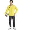 Vyriškas adidas Entrada 26 džemperis su gobtuvu ir pilnu užtrauktuku Geltonas KF8964