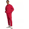 Vyriškas adidas Essentials Feelcozy džemperis su gobtuvu raudonas KC0907