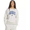 Vyriškas adidas Koleginis džemperis pilkas JM1732