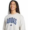 Vyriškas adidas Koleginis džemperis pilkas JM1732