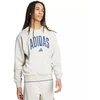 Vyriškas adidas Koleginis džemperis pilkas JM1732