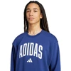 Vyriškas adidas Varsity stiliaus džemperis Mėlynas JM1734