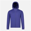 Vyriškas džemperis su gobtuvu Rossignol Mid Layer Stretch, mėlynas