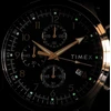 Vyriškas laikrodis TIMEX TW2Y01500 + BOX