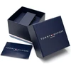 Vyriškas laikrodis TOMMY HILFIGER 1792183 (zf132a)