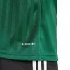 Vyriški adidas Campeon 25 marškinėliai, žali JF6063