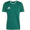 Vyriški adidas Entrada 26 Džersis žalias KE9832
