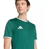 Vyriški adidas Entrada 26 Džersis žalias KE9832