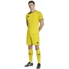 Vyriški adidas Entrada 26 marškinėliai geltoni JZ2502