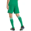 Vyriški adidas Tiro 26 League šortai, žali, KA8774