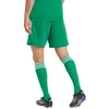 Vyriški adidas Tiro 26 League šortai, žali, KA8774