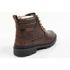 Vyriški auliniai batai Wrangler Nevada Men High, rudi