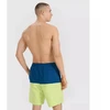 Vyriški boardshort'ai 4F 4FWSS25UBDSM135-45S