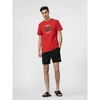 Vyriški boardshorts 4F 4FWSS24UBDSM123-20S