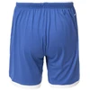 Vyriški DENTRA SHORTS SENIOR Šortai
