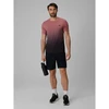Vyriški greitai džiūstantys treniruočių šortai 4F, juodi