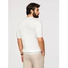 Vyriški kreminiai polo marškinėliai su vertikaliu raštu