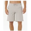 Vyriški laisvo kirpimo šortai Rip Curl Boardwalk Premium Surf, pilki