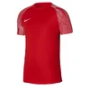 Vyriški marškinėliai Nike Dri-Fit Academy SS M DH8031-657