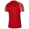 Vyriški marškinėliai Nike Dri-Fit Academy SS M DH8031-657