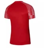 Vyriški marškinėliai Nike Dri-Fit Academy SS M DH8031-657
