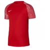 Vyriški marškinėliai Nike Dri-Fit Academy SS M DH8031-657