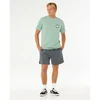 Vyriški marškinėliai Rip Curl Pacific Rinse Circle, žali