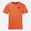 Vyriški marškinėliai Rossignol Graphic Active Tee, oranžiniai