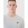 Vyriški medvilniniai marškinėliai 4F 4FWMM00TTSHM2657-27M