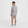 Vyriški medvilniniai šortai O'Neill Essentials Chino