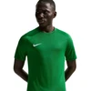 Vyriški Nike Dri-Fit Park VIII marškinėliai žali HV8173 302