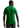 Vyriški Nike Dri-Fit Park VIII marškinėliai žali HV8173 302
