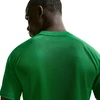 Vyriški Nike Dri-Fit Park VIII marškinėliai žali HV8173 302