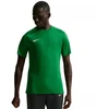 Vyriški Nike Dri-Fit Park VIII marškinėliai žali HV8173 302